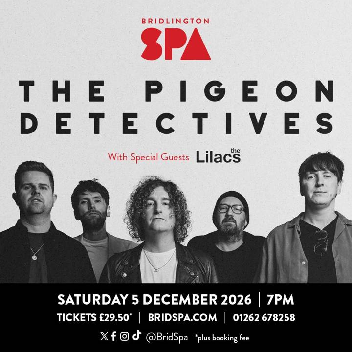 The Pigeon Detectives tour poster