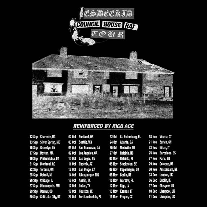 EsDeeKid tour poster